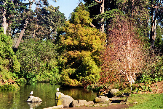 Ấn tượng 3 thắng cảnh tuyệt đẹp ở San Francisco, Mỹ